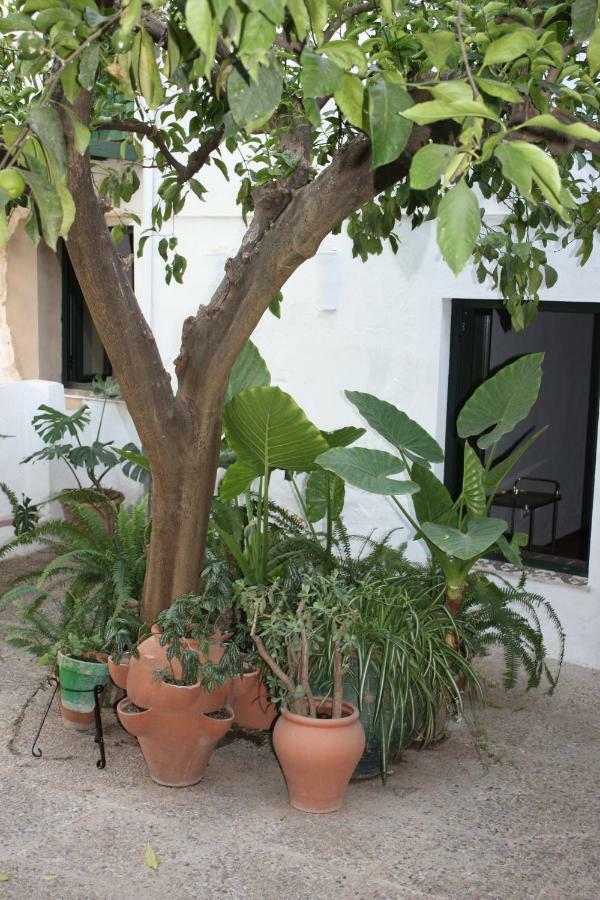 Las Jimenas Higuera De La Sierra  Luaran gambar