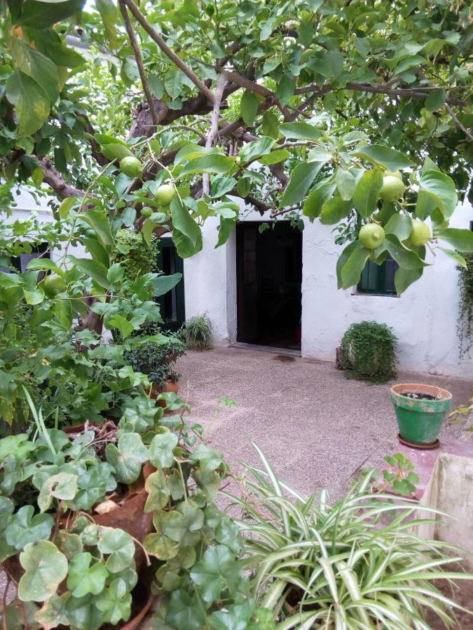 Las Jimenas Higuera De La Sierra  Luaran gambar